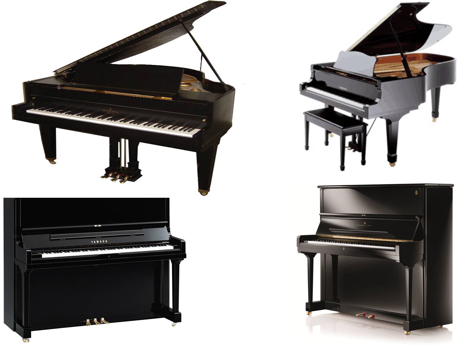 best piano on rent udaipur